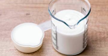 immunocal-el-aislado-proteico-del-suero-de-leche-que-revoluciona-la-industria-alimentaria