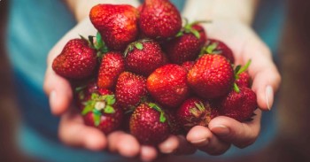 implementar-practicas-bromatologicas-asegura-un-manejo-apropiado-y-la-calidad-de-los-productos-alimenticios