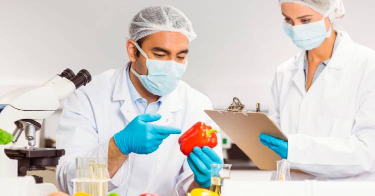 el-acuerdo-ue-mercosur-no-modificara-los-estandares-de-seguridad-y-calidad-alimentaria-europeos