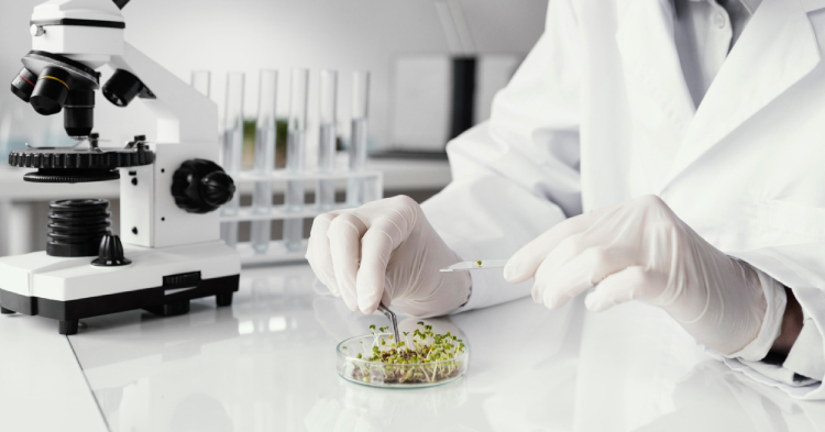 la-importancia-de-analizar-los-alimentos