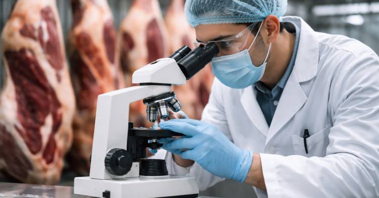 seguridad-alimentaria-proteger-lo-que-llega-a-la-mesa