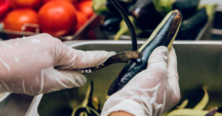 Integración de Buenas Prácticas y Sistemas de Certificación: Un Enfoque Técnico para la Industria Alimentaria