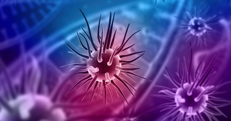 porque-una-vianda-segura-es-tambien-una-herramienta-para-un-futuro-mas-saludable