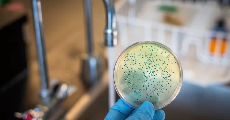 mapeo-de-zonas-criticas-de-etas-en-cocinas-industriales-para-prevenir-contaminaciones