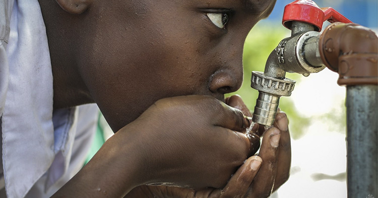 Dia Mundial del Agua: La importancia del agua