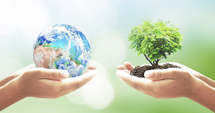 5 de Junio: “Una sola Tierra” será el tema del Día Mundial del Medio Ambiente 2022