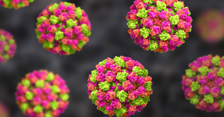 ETAS: ¿Qué es el norovirus?