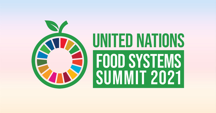 Los próximos pasos tras la Cumbre sobre los Sistemas Alimentarios