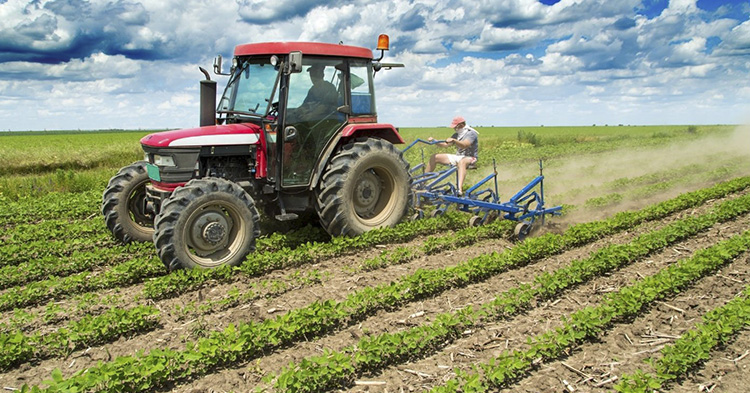 Un atomizador inteligente promete reducir 40% el uso de pesticidas