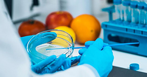Un futuro más sostenible para la seguridad alimentaria