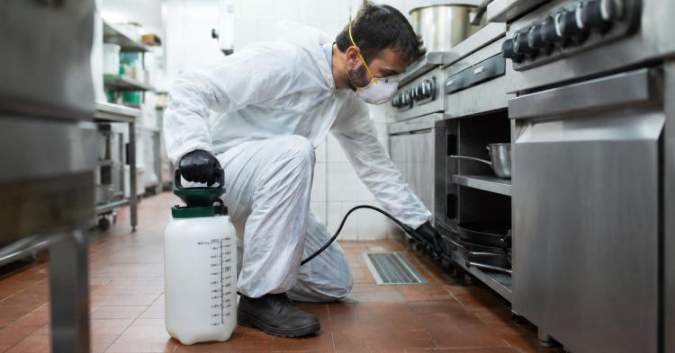 Inspecciones preventivas de roedores en plantas de alimentos: protocolo MIP paso a paso